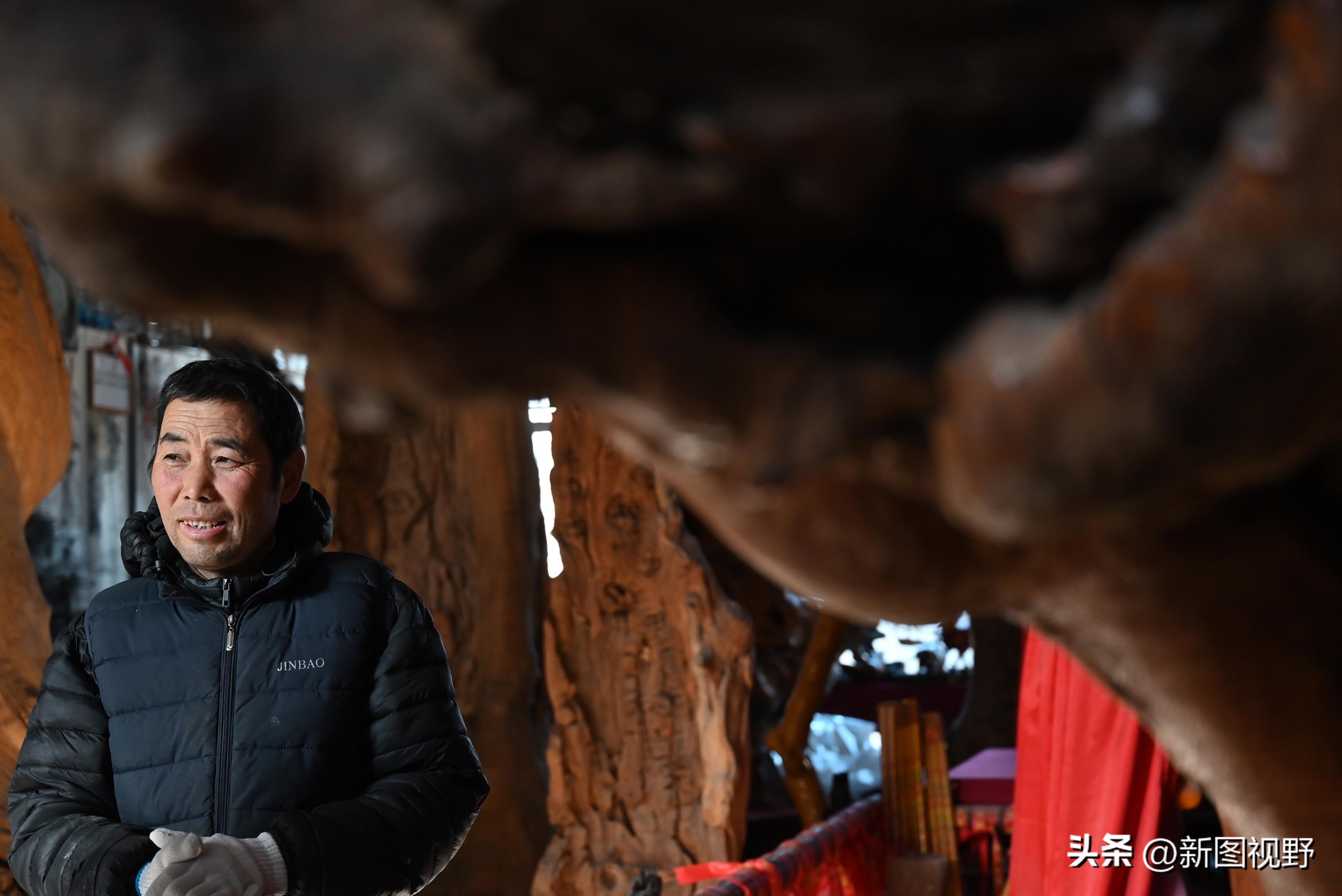 55岁农民，花60万买了一堆古树，每天做着发财梦，睡到自然醒