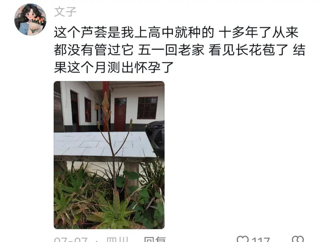 孕期热门话题,今日话题孕期