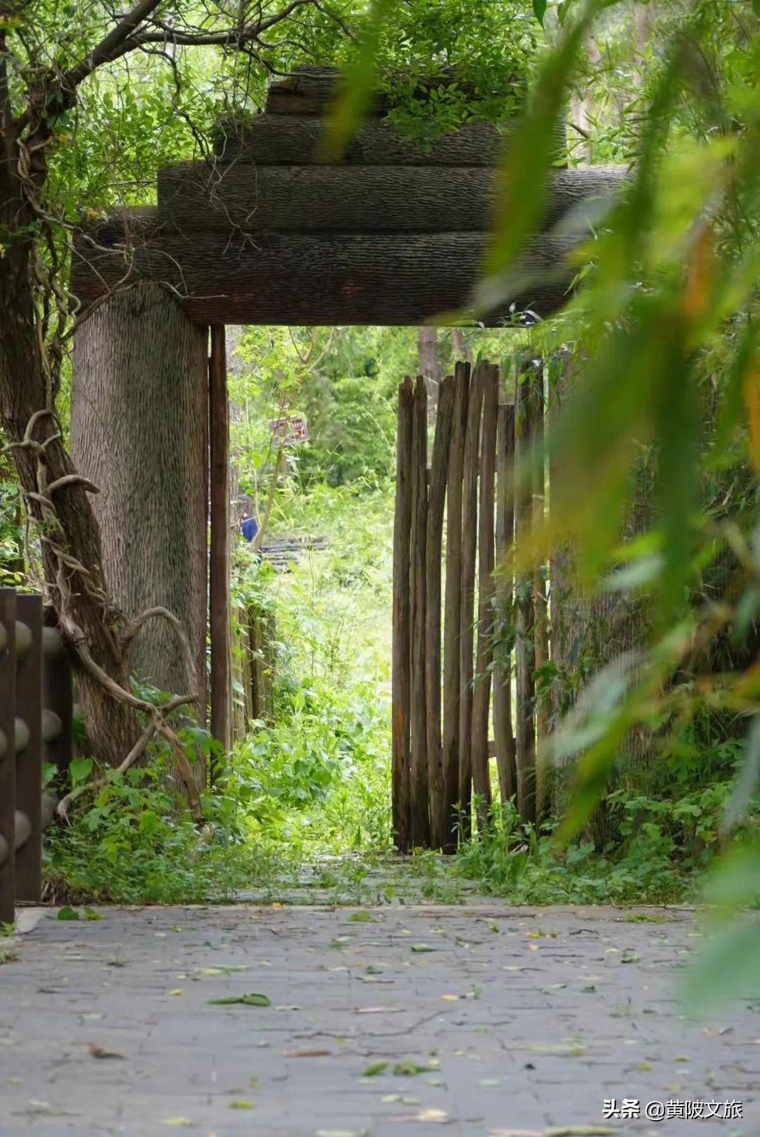 武汉夏天自驾游推荐,夏日避暑武汉出发3-5天自由行攻略