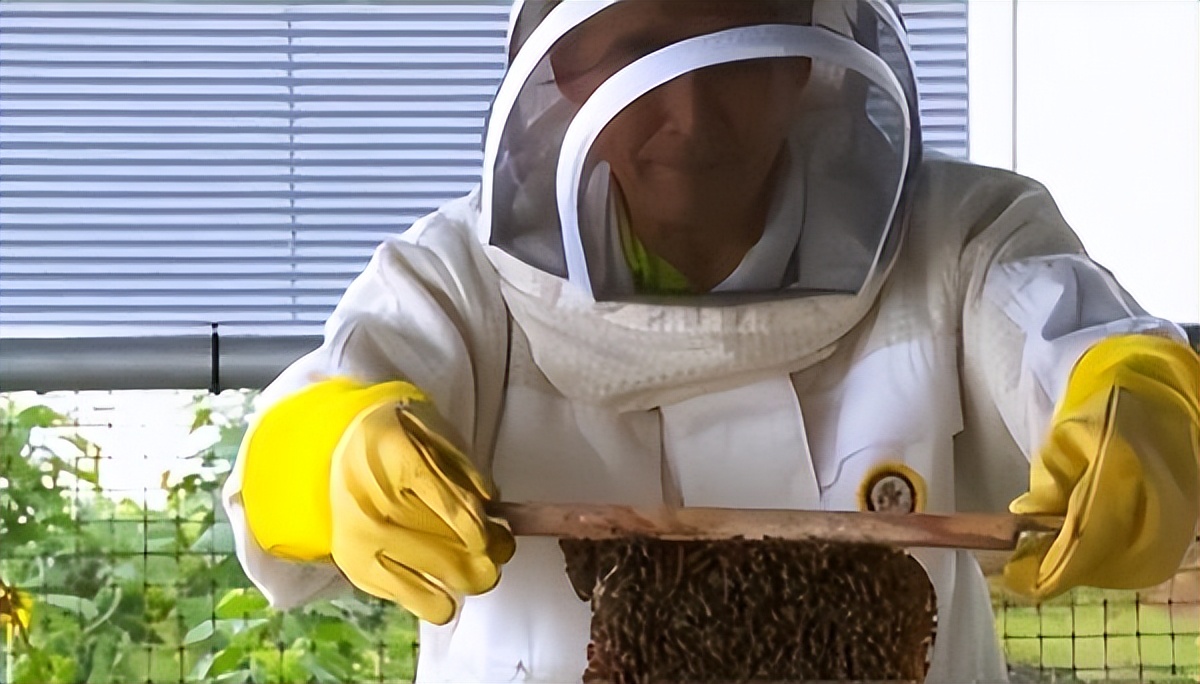 新加坡有哪些热门职业,新加坡搞什么比较赚钱