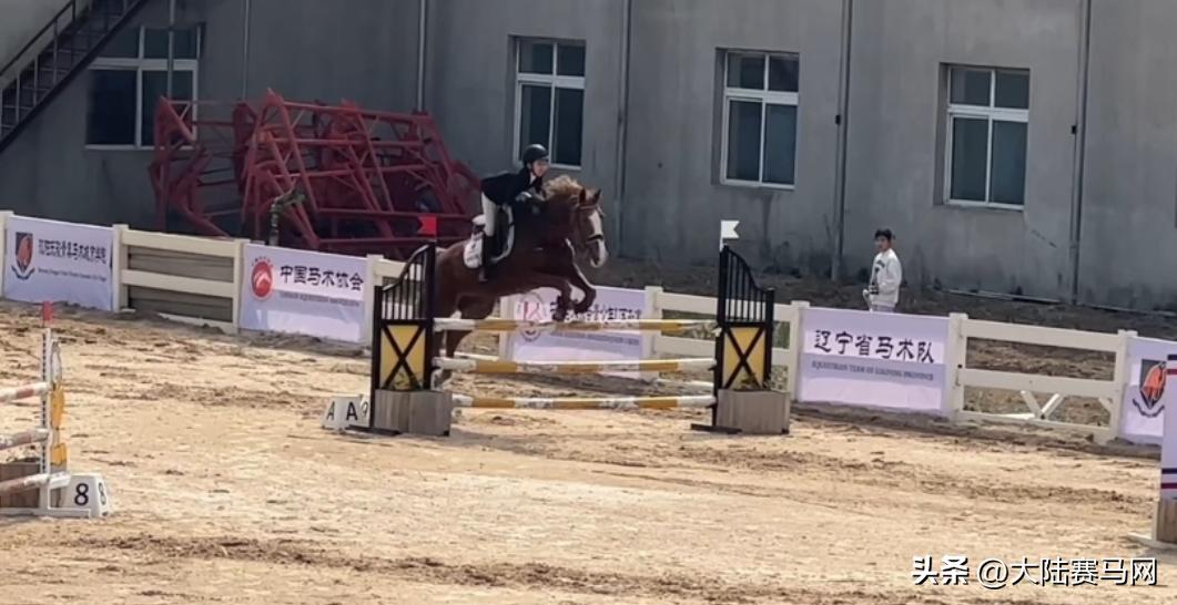 东骏青奥霸气斩获大满贯！2023中马协U系列赛（沈阳站）圆满落幕