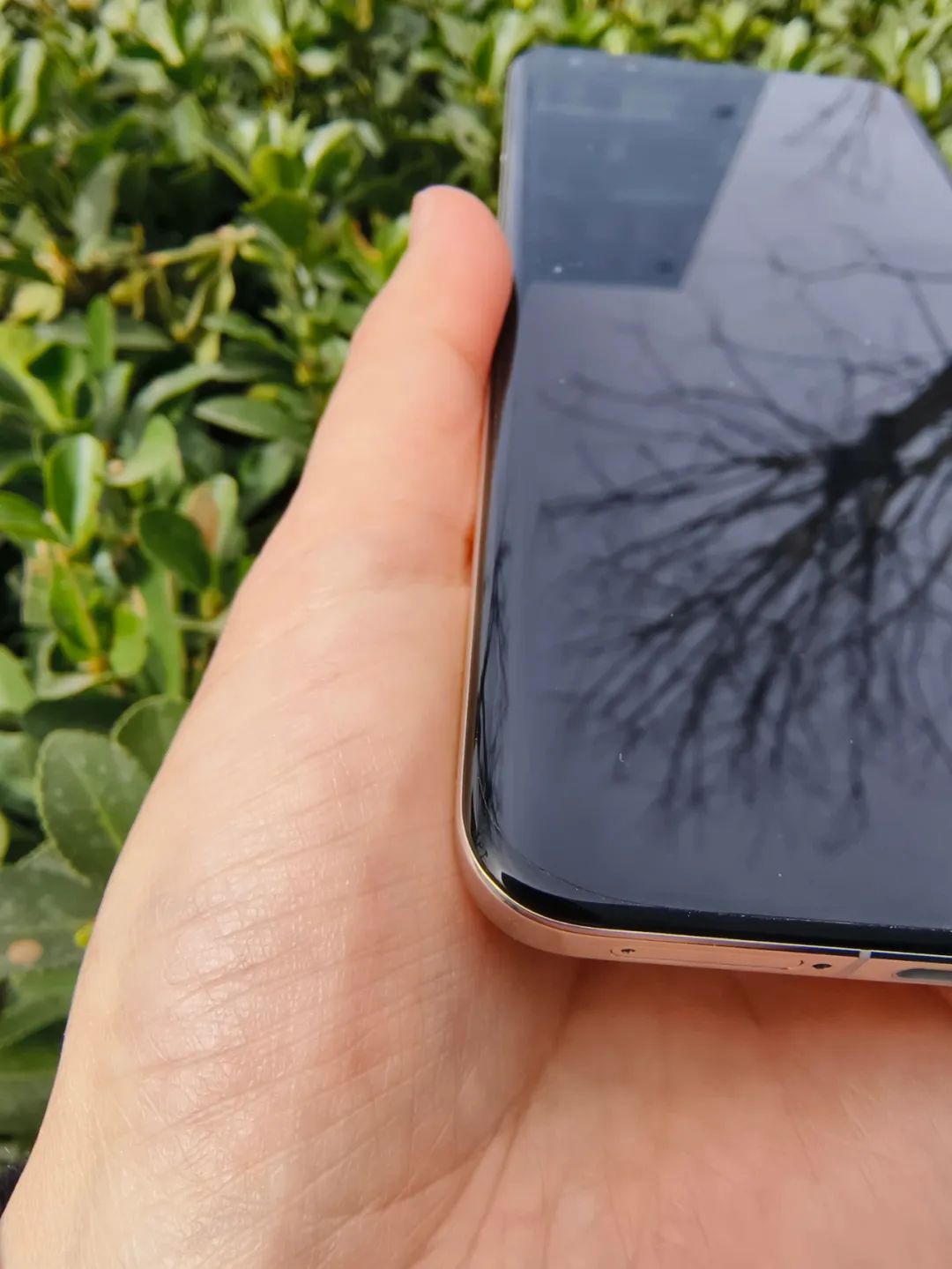 荣耀magic5pro和荣耀magic6,荣耀magic5pro价格