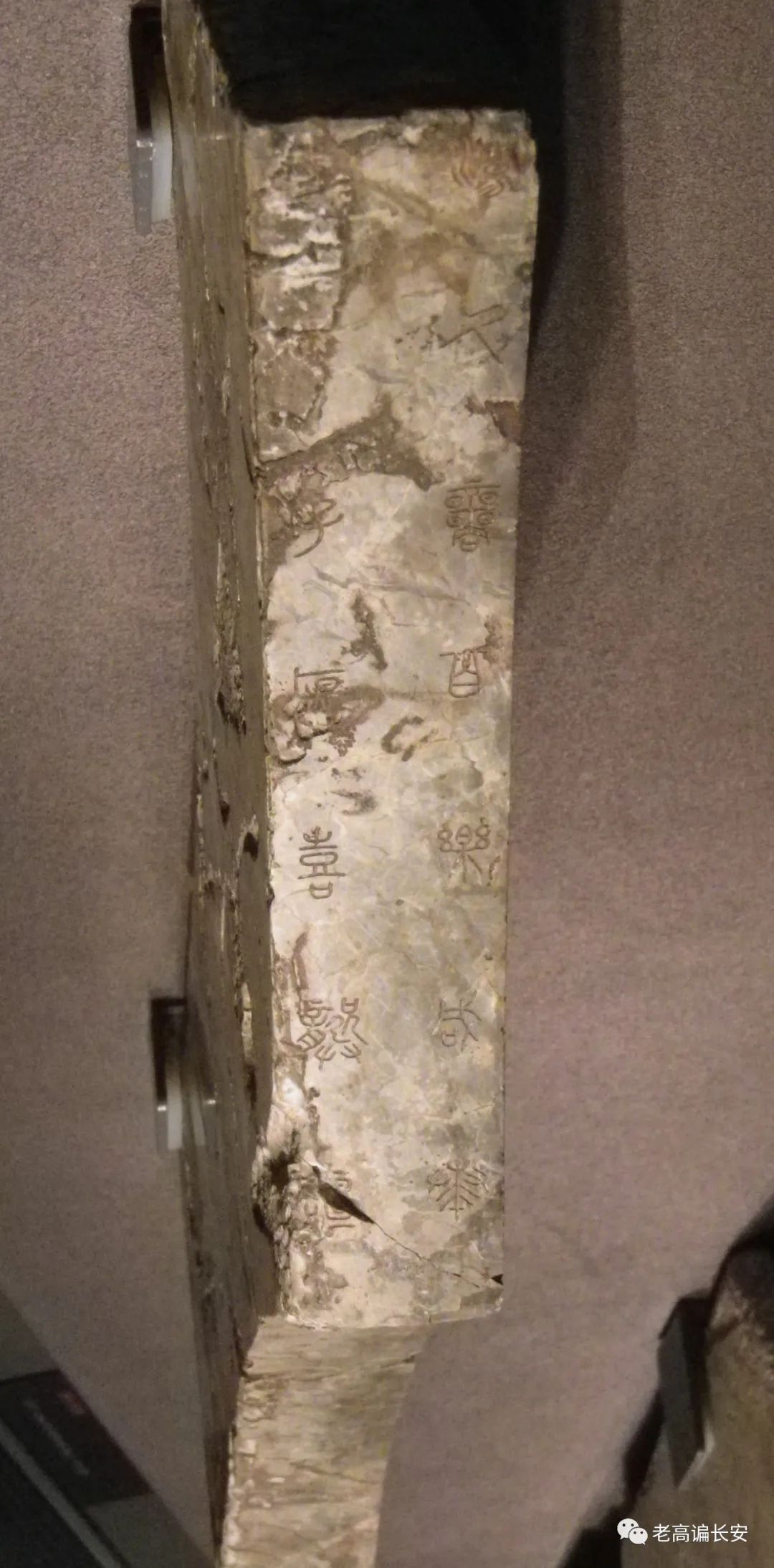 陕西考古博物馆几点放号,陕西考古博物馆门票预约