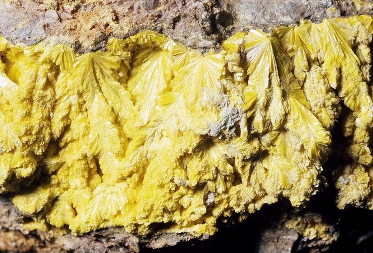 中国援助纳米比亚4000吨大米,中国援助450吨粮食