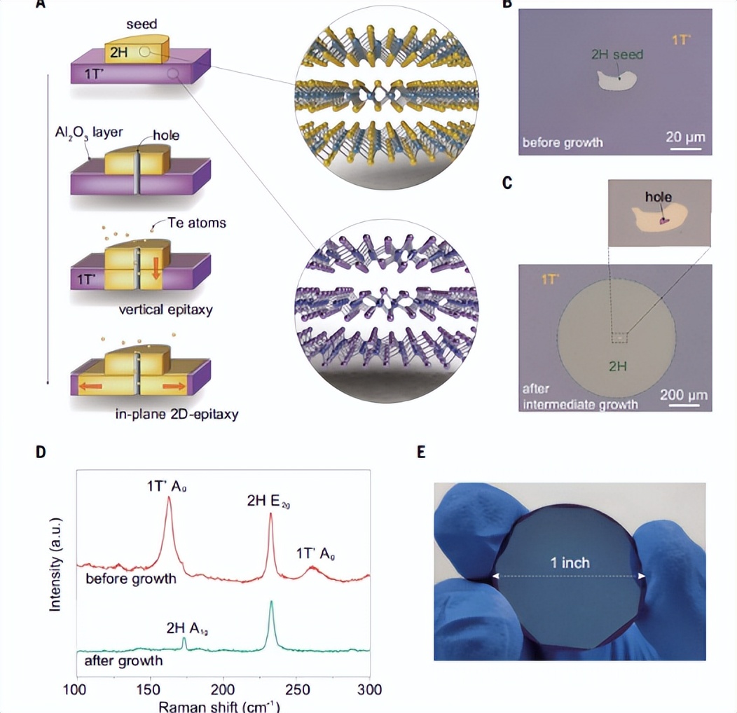 微电子和电子有什么区别,微电子跟什么有关系