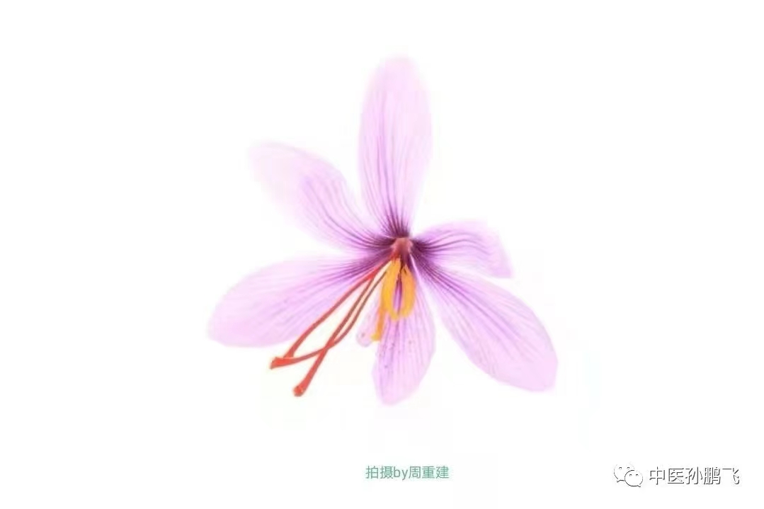 金匮要略笔记图解书籍,金匮要略的读书笔记