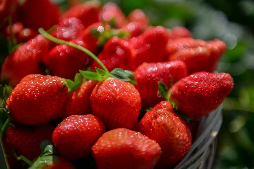 四川最适合冬季去的地方,四川最适合冬天去的地方