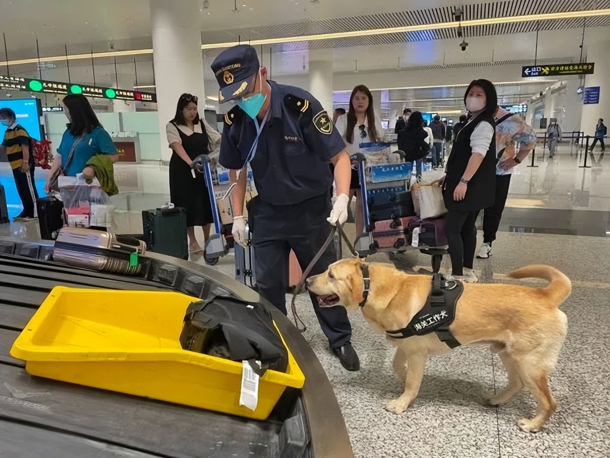 给我们的“拉菲”找个好人家