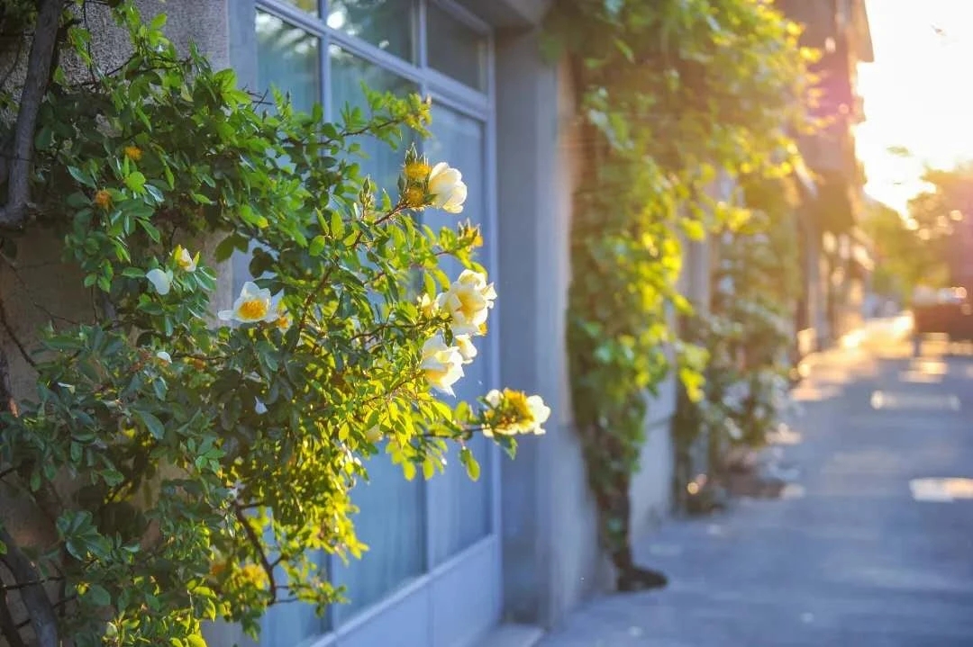 克服失眠缓解焦虑的方法,克服失眠的六种小方法