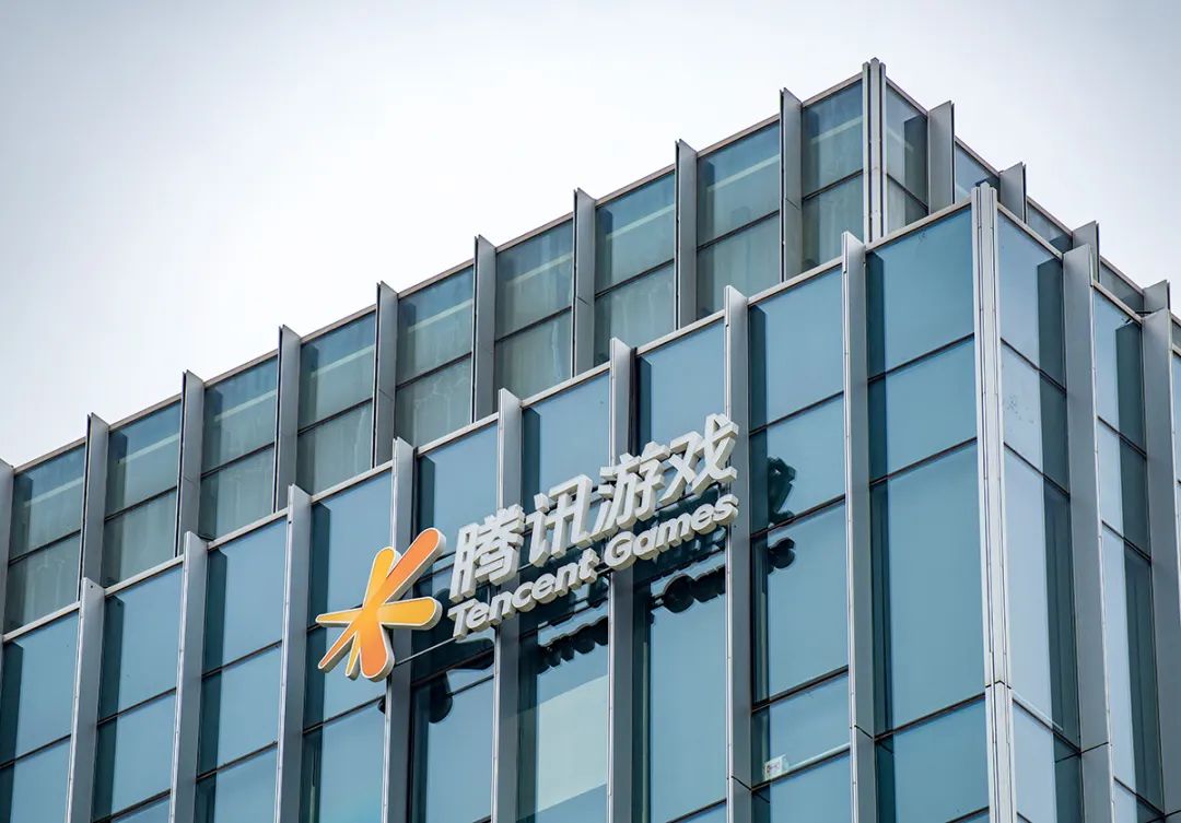 蛰伏了一年,蛰伏一季