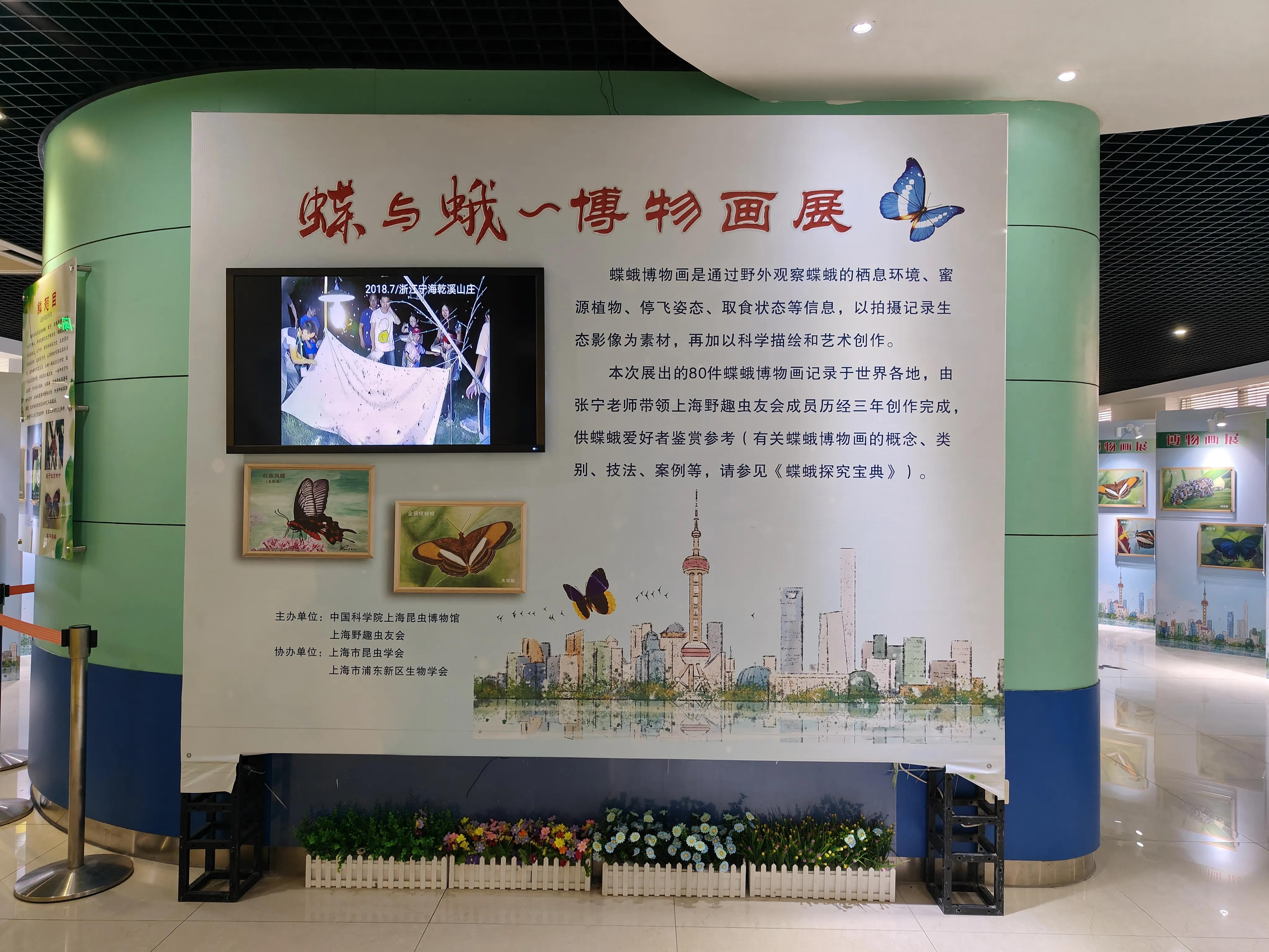 神兽暑假活动攻略之上海昆虫博物馆记