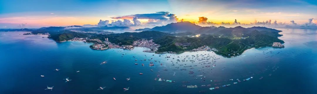 家底大揭秘！深圳究竟有多少“神奇生物”？