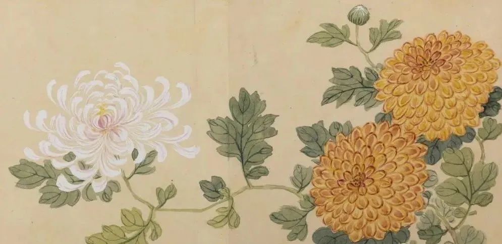 【云上文博】不是花中偏爱菊，此花开尽更无花