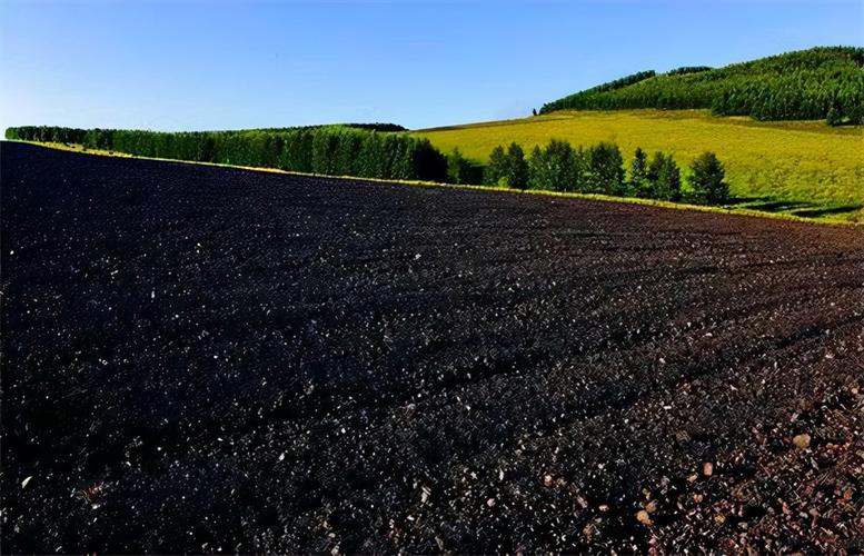 谁在砸中国人饭碗？200万年形成的“土中熊猫”，被4元贱卖给美日