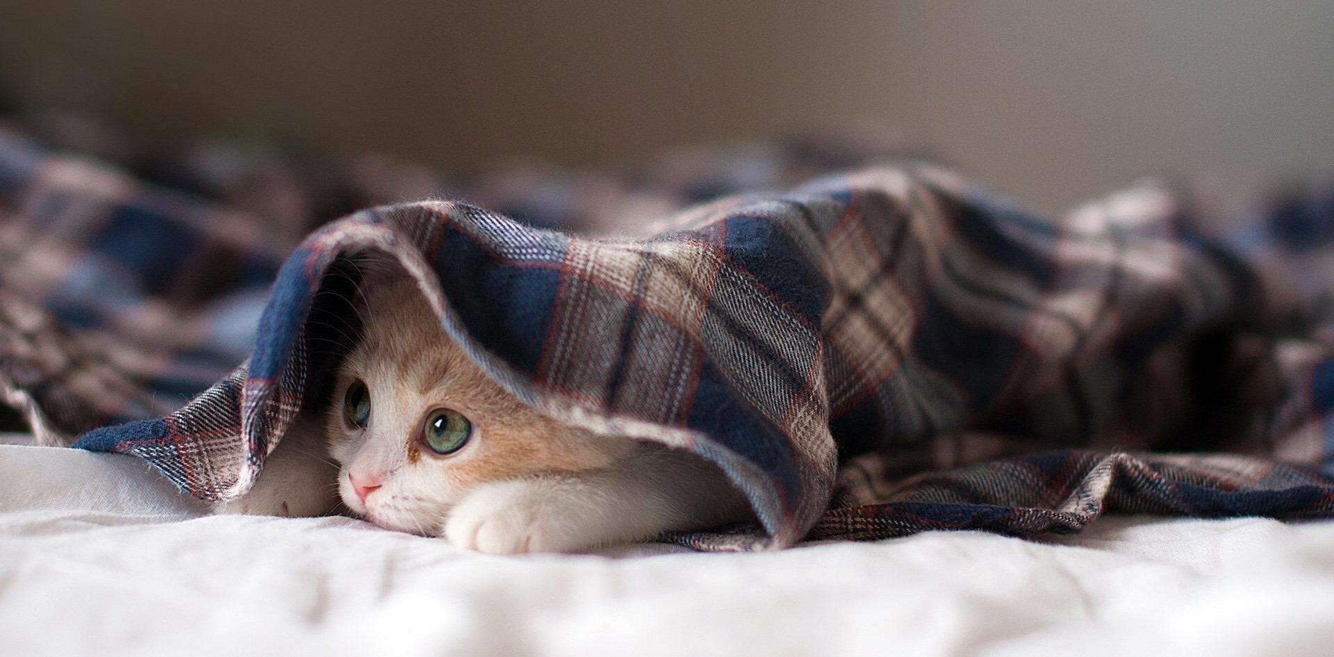 搞笑幽默段子闺蜜,闺蜜间搞笑段子