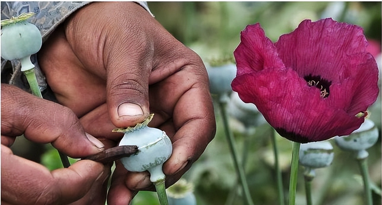 英国打开了中国的贸易大门,英国打开中国市场的原因