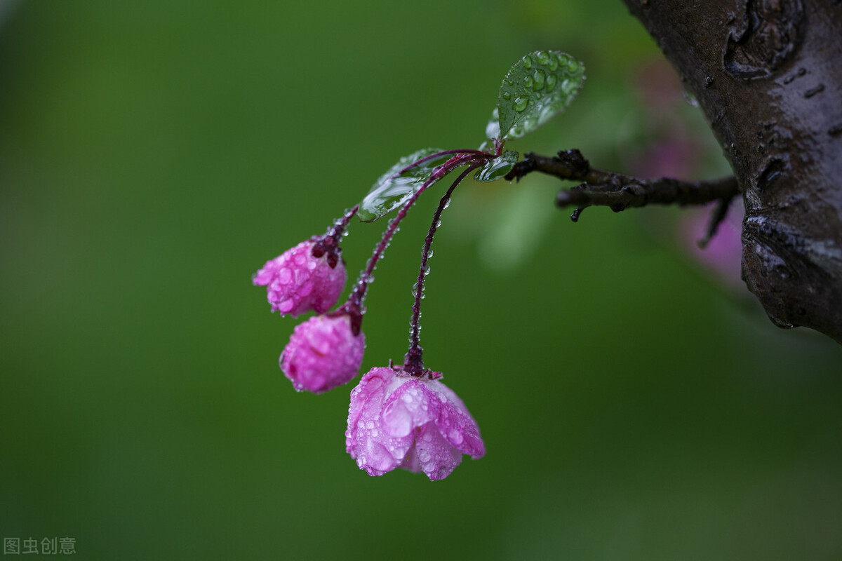 成年人最大的清醒是赚钱谋生,成年人最大的清醒就是存钱