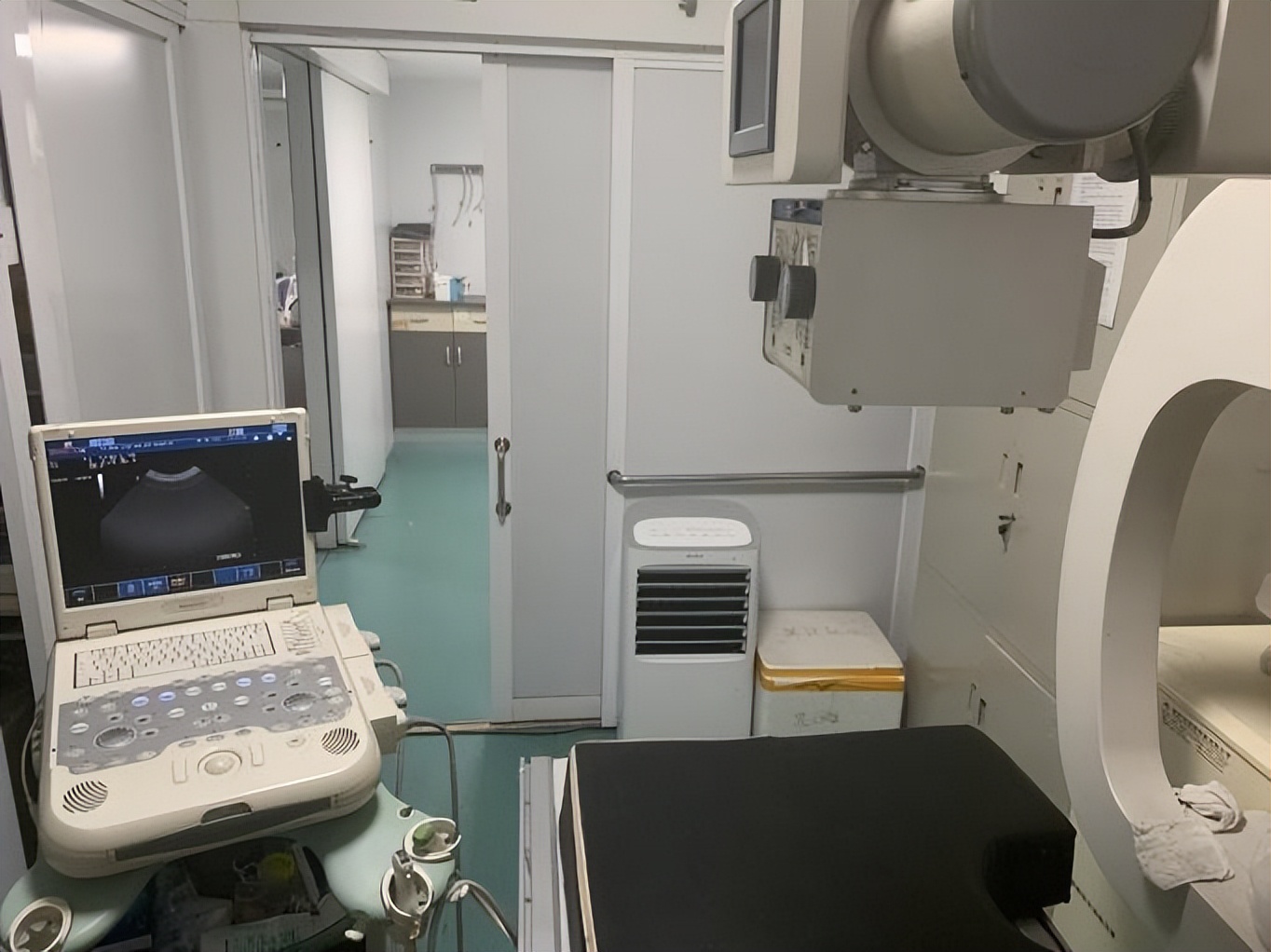 瑞派宠医——张丽|把握与宠主、宠物之间的平衡线