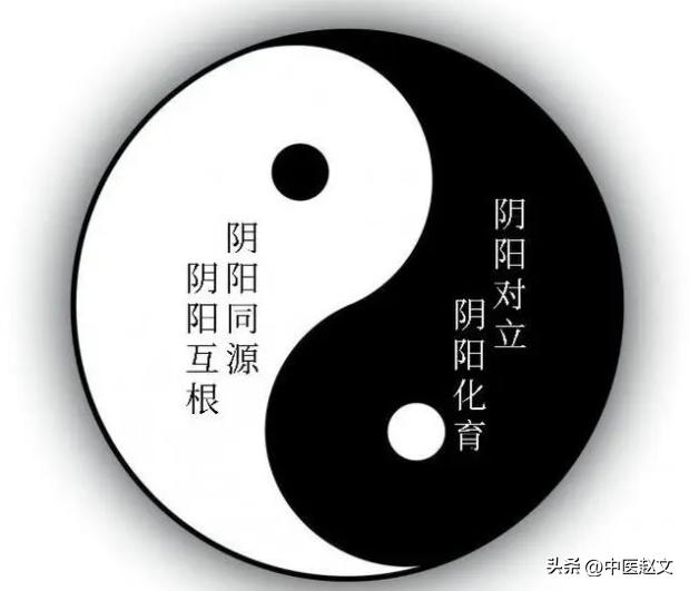 既上火又怕冷？一剂引火汤，引火归元，将你的火气化为元气