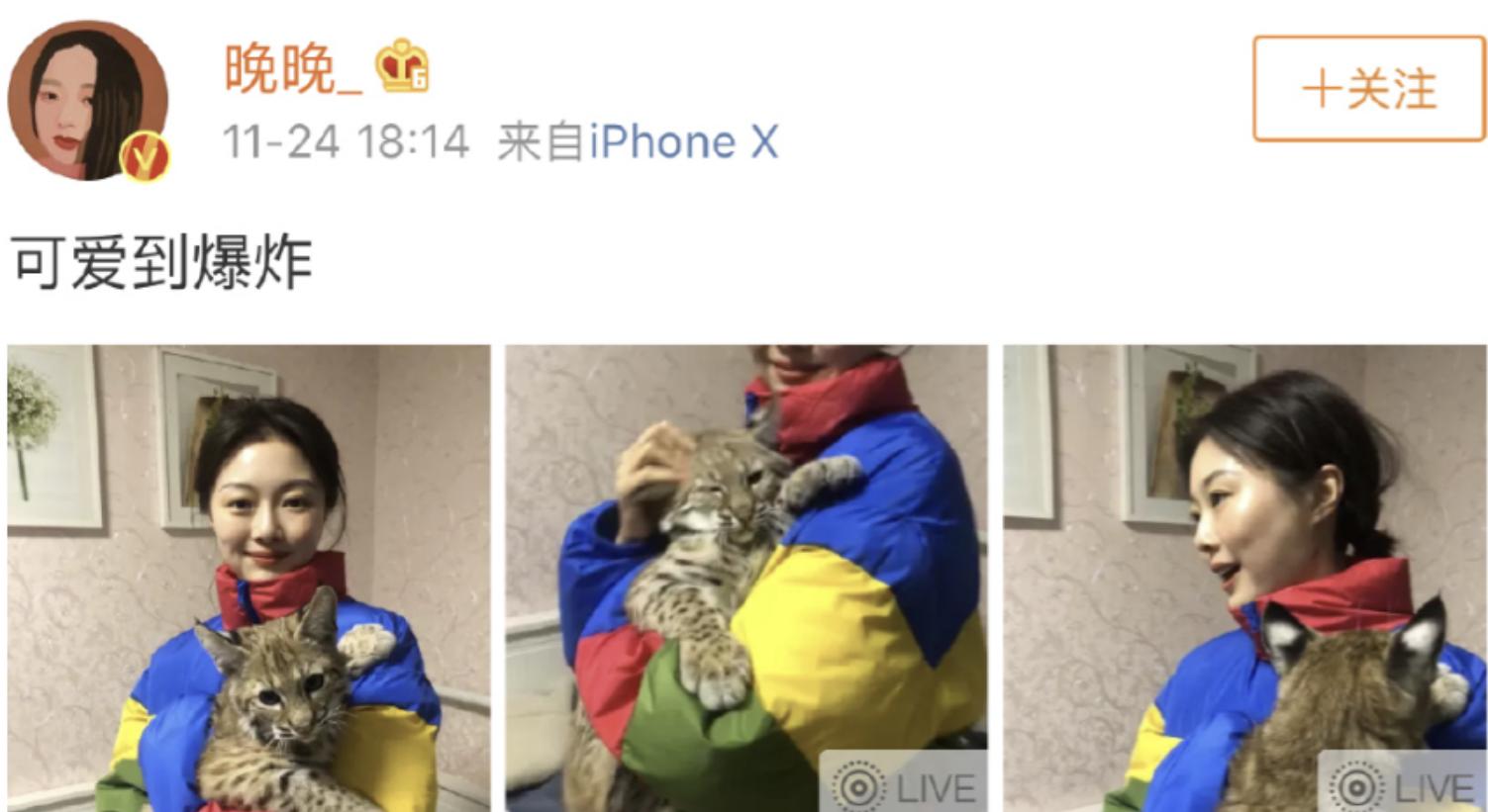 又穿假货被锤！京圈贵妇变寒门贵妇，网红晚晚是怎么沦为全网嘲的