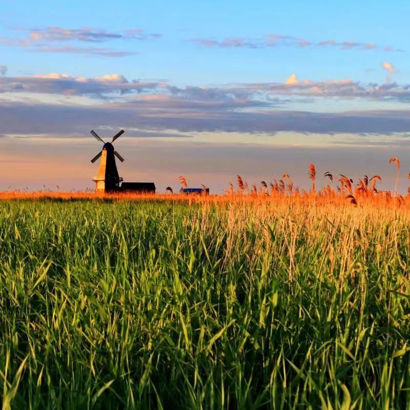 白城冬天适合旅游的地方,白城毓才踏青