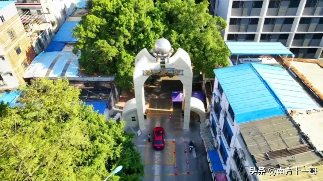 2023年广西各高中清华北大人数,广西清华北大录取人数最多的中学