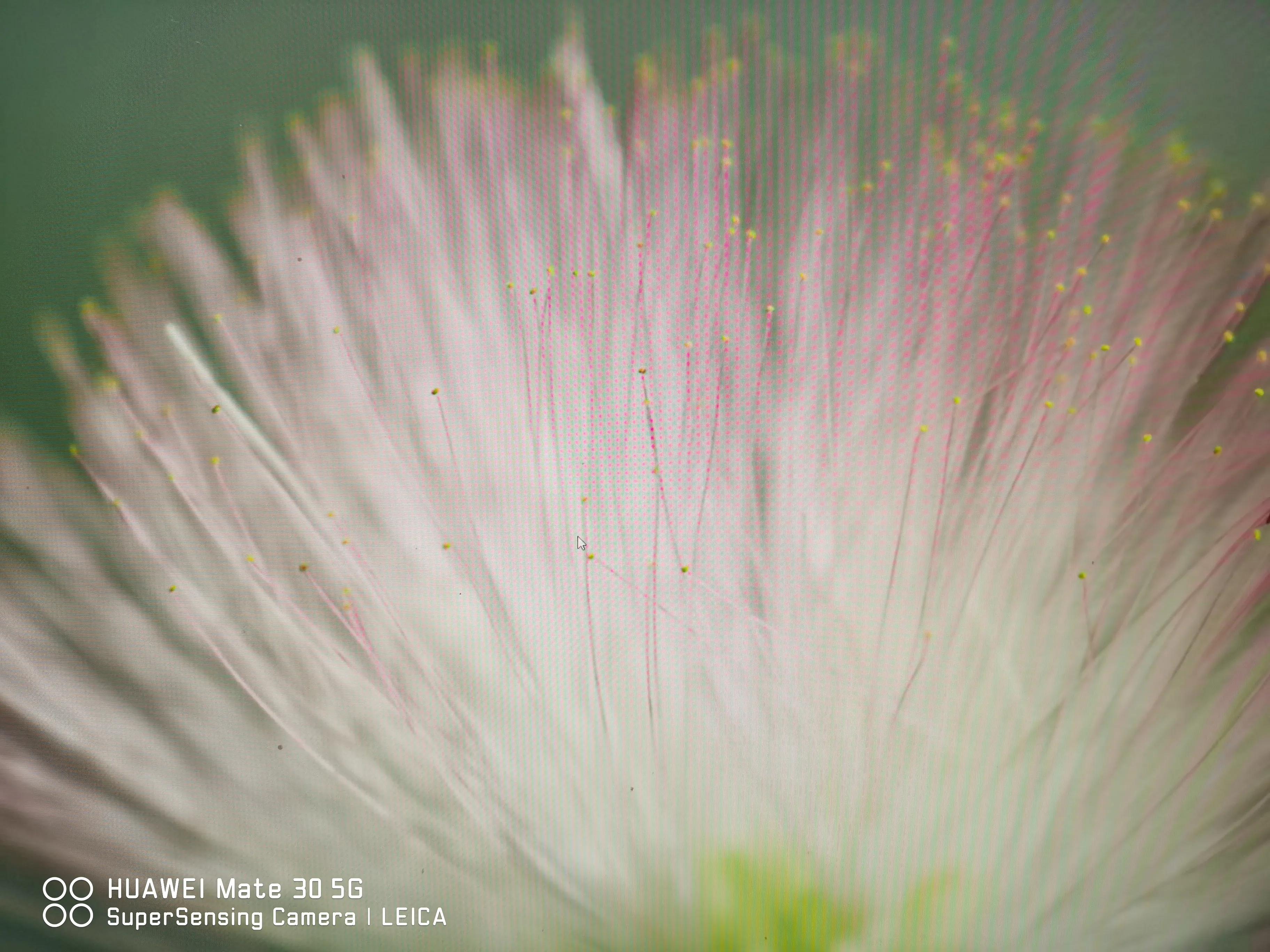 什么是复盘,什么是复盘股票