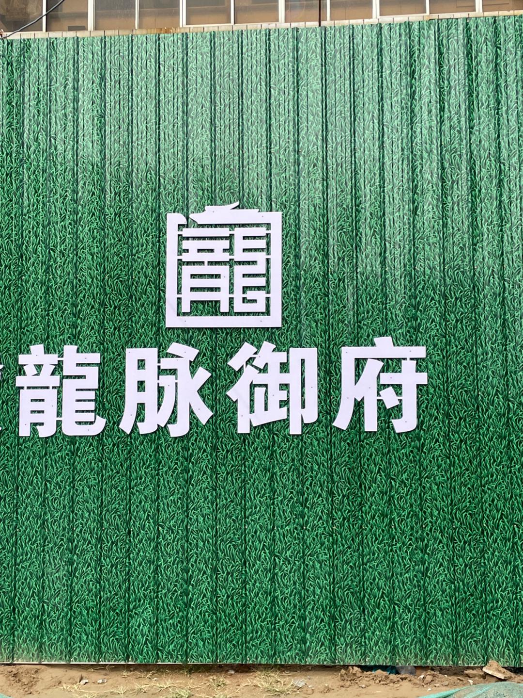 董董骑行山东,懂懂骑山东