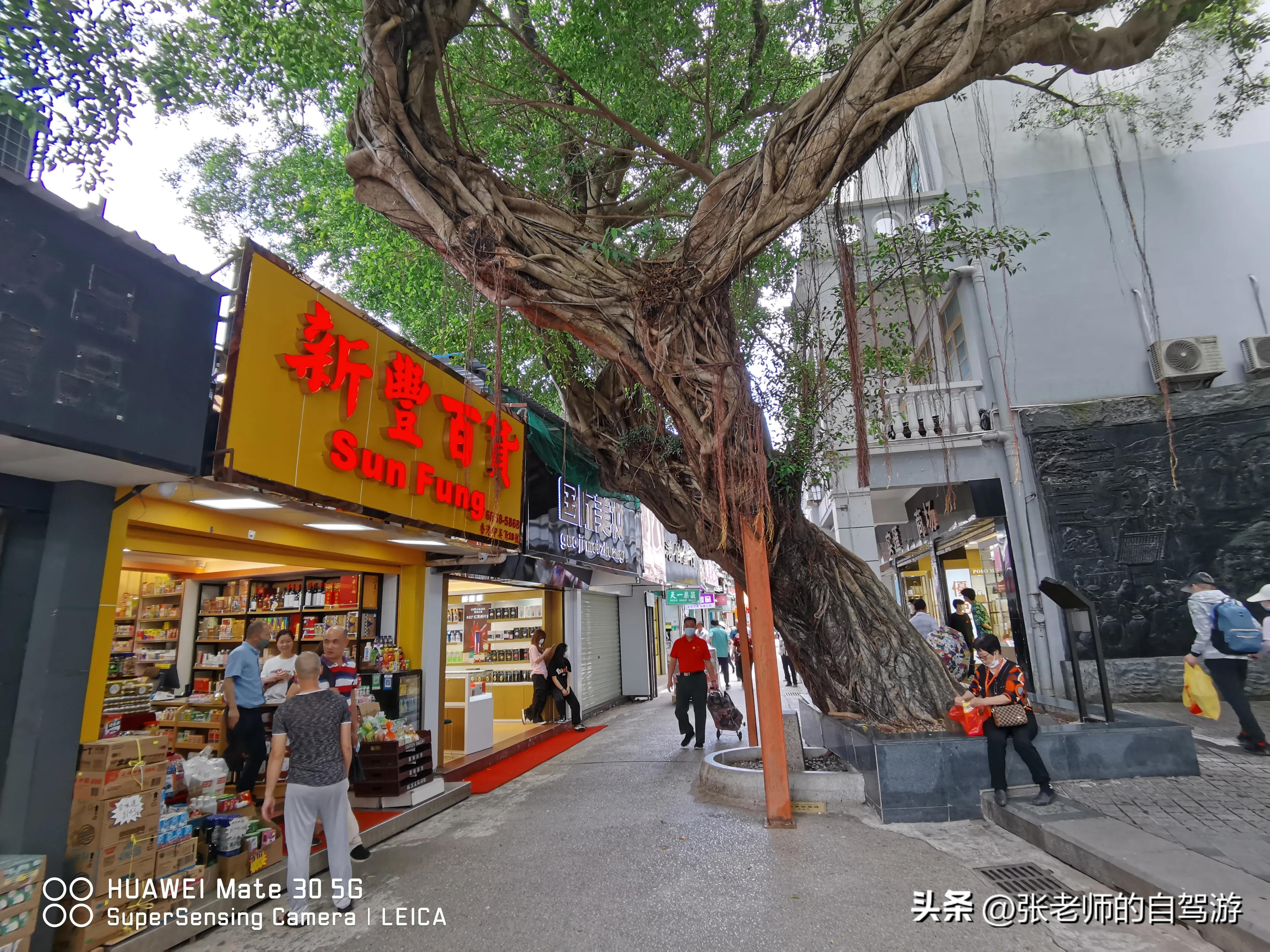 自驾环游中国最佳路线图费用,盐城到海南自驾旅行攻略