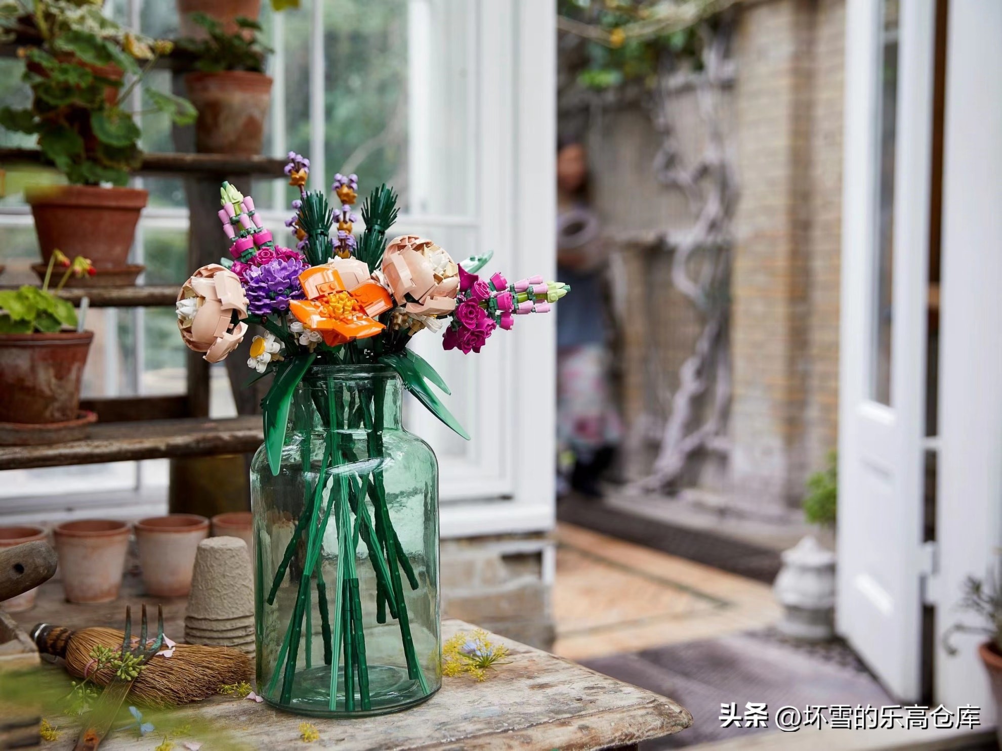 乐高兰花图片及价格,乐高兰花测评