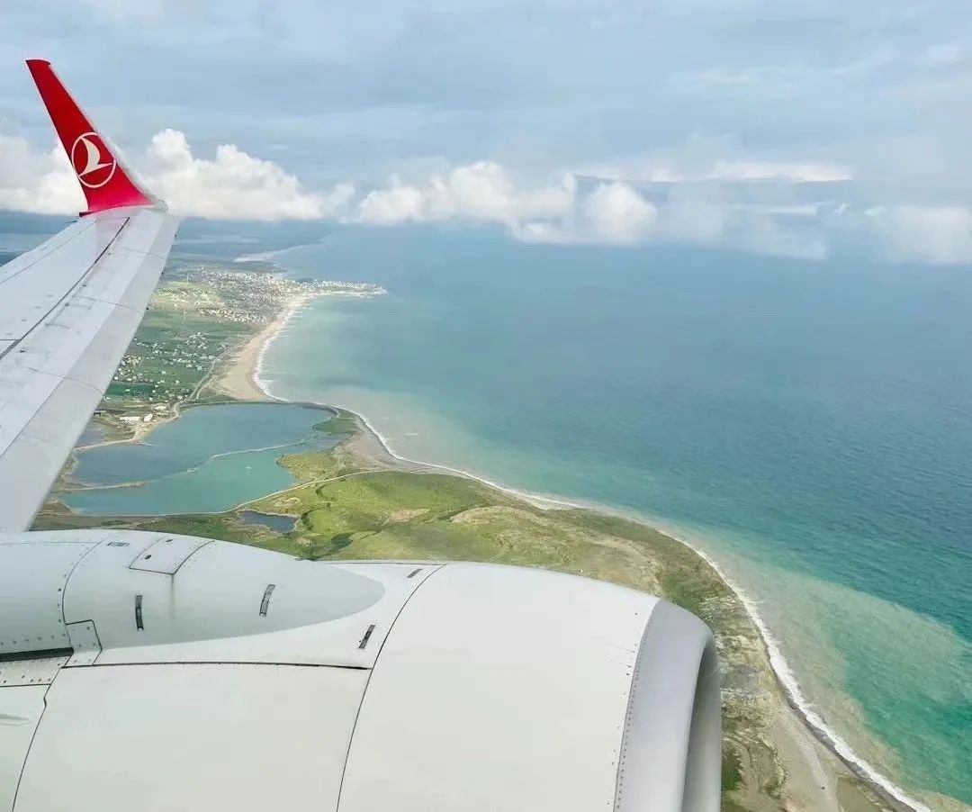 中国高端葡萄酒十年出圈,葡萄酒近几年的销售数据