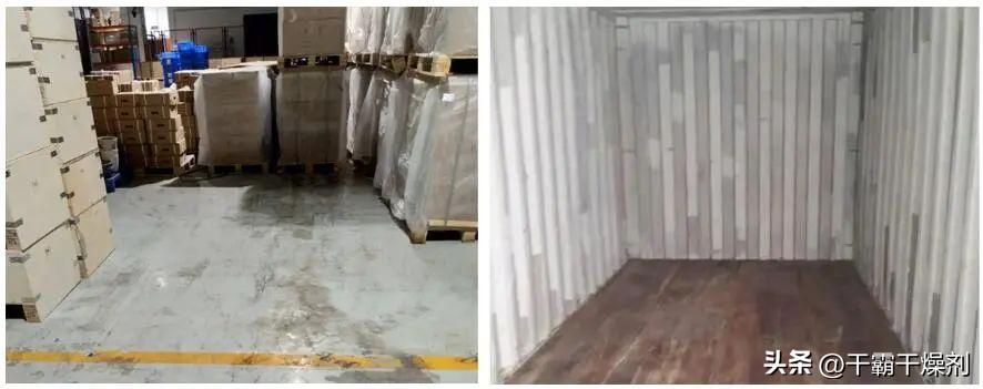 塑料制品受潮会生黄曲霉素吗,塑料制品发霉是什么霉