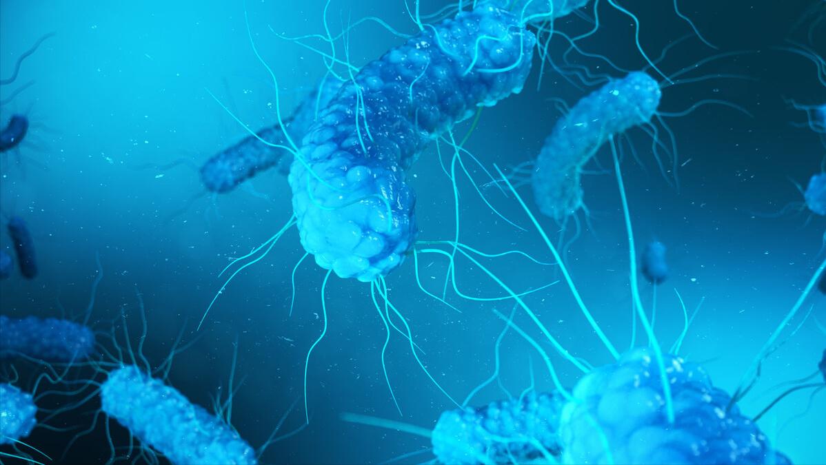 妇科检查外阴肥大是什么意思,外阴肥大有必要做手术吗