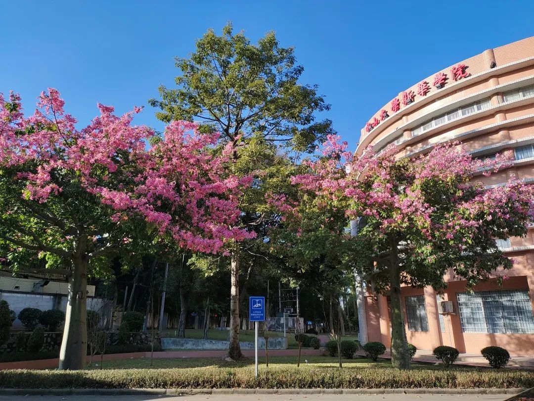 广州新华学院选什么专业好,广州新华学院属于正规大学吗