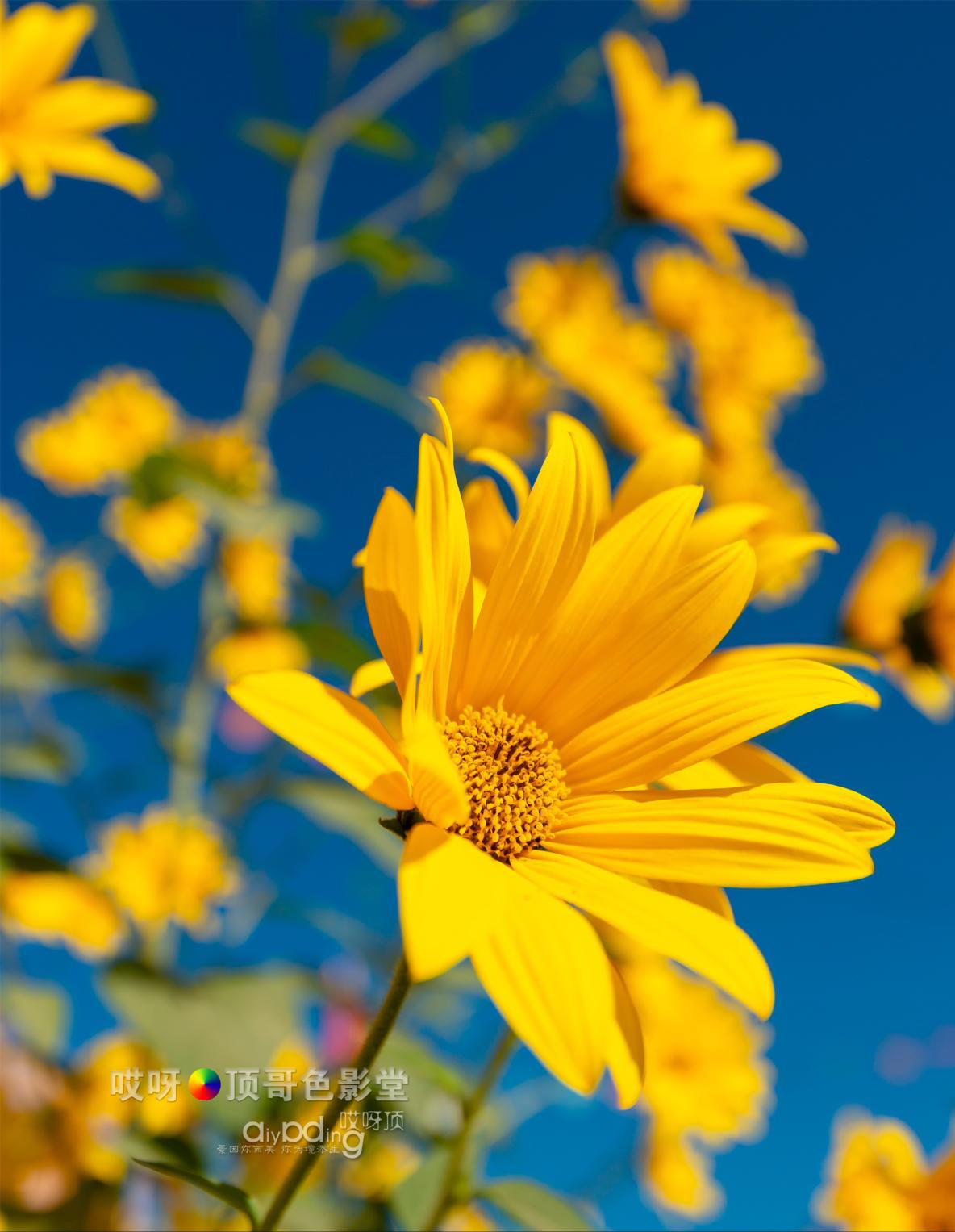 女司机带娃去新疆自驾游,带着女司机自驾游兰州