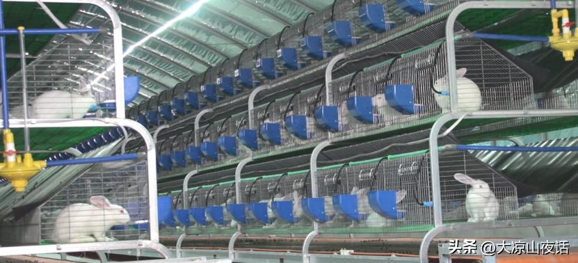 遇见美丽大凉山,遇见美丽大凉山完整