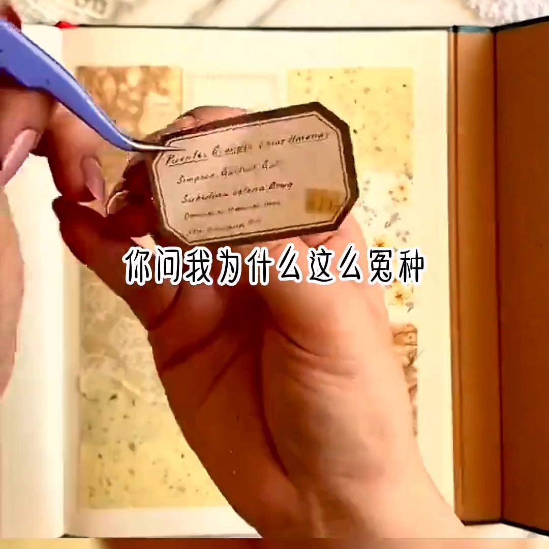 娴呮祬澶у鐢熸椿,鐭ュ繁娴呮祬