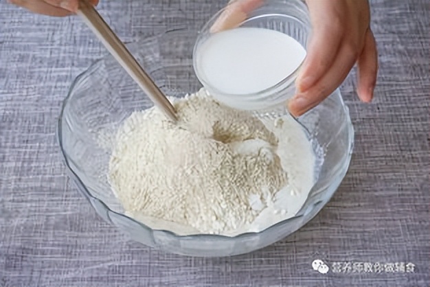 替代蛋白新式发酵行业市场调研数据分析报告2023年