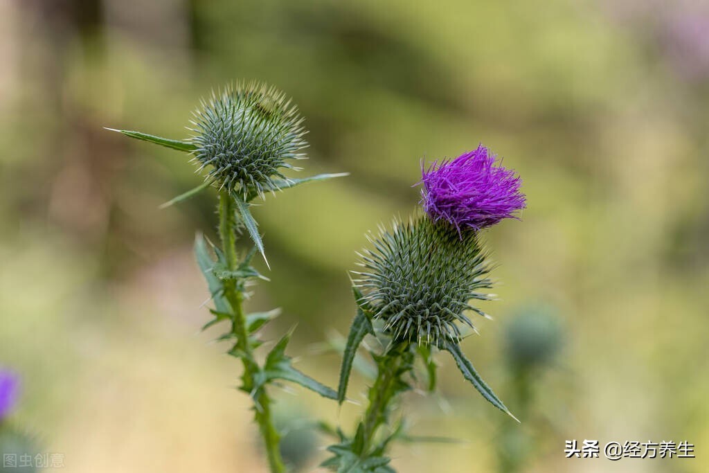 感冒怎样治疗才好得快,如何用最好的方法快速治愈感冒