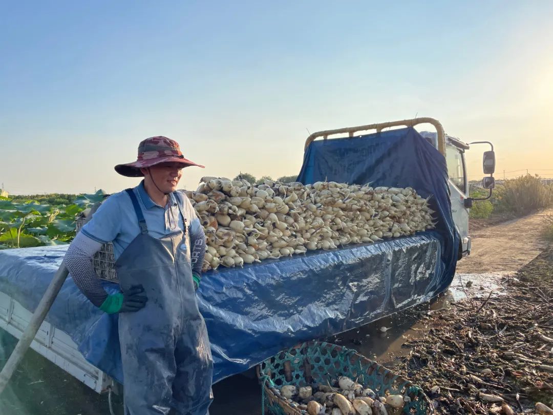 第六届中国农民丰收节,中国农民丰收节