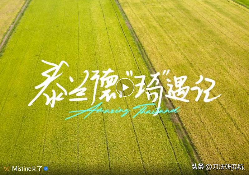 mistine蜜丝婷泰式奶咖丝绒唇釉,mistine蜜丝婷泰式奶咖唇釉