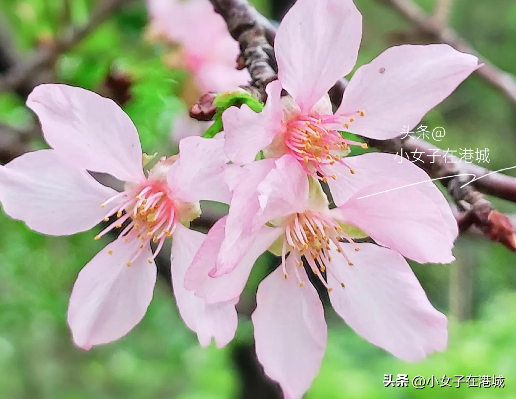 我，一位33岁的兼职宝妈，自从家里实行分餐制后，感觉实在太爽了