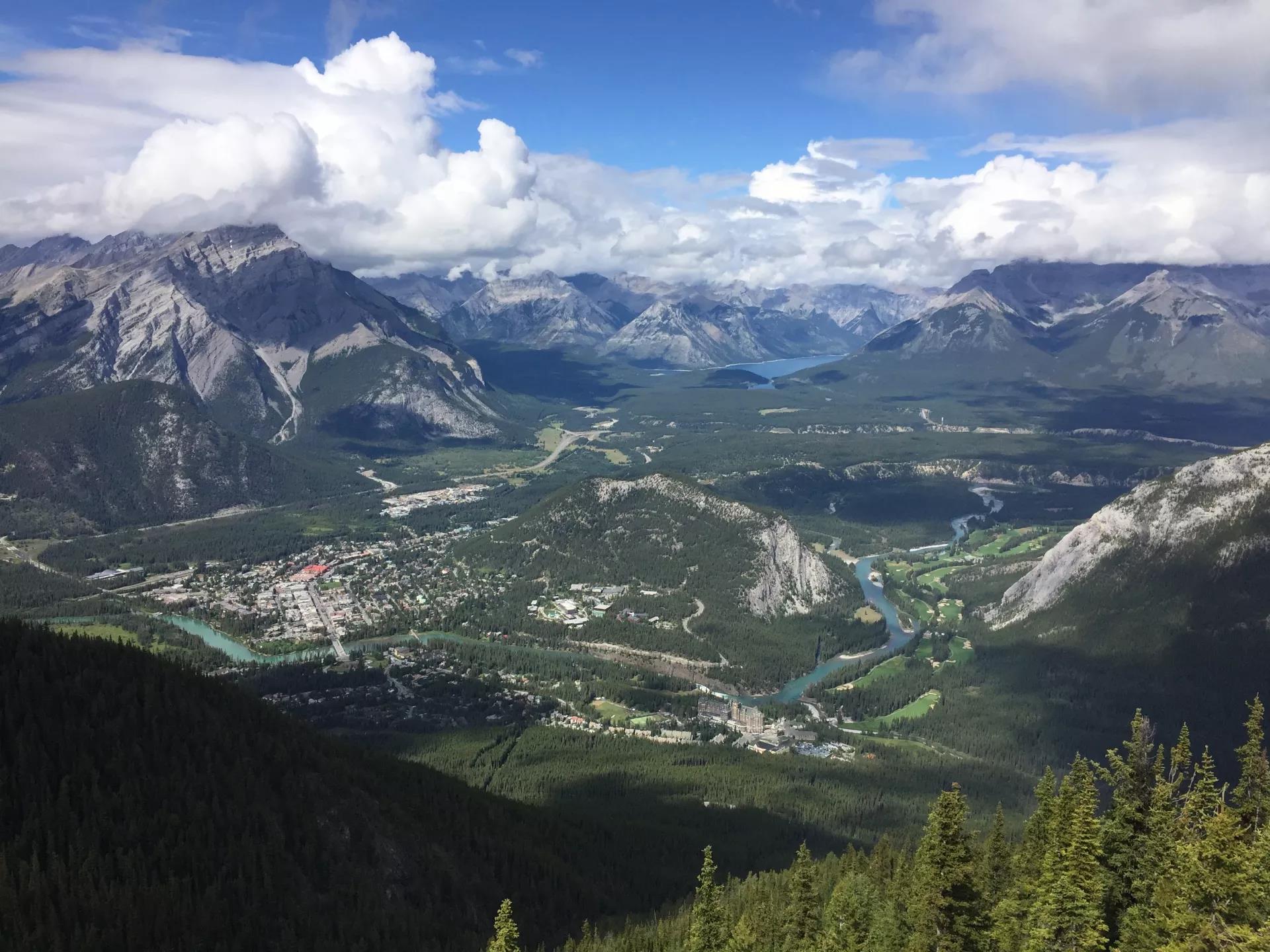 青岛如何带上猫猫去加拿大多伦多,钱猫猫加拿大之旅