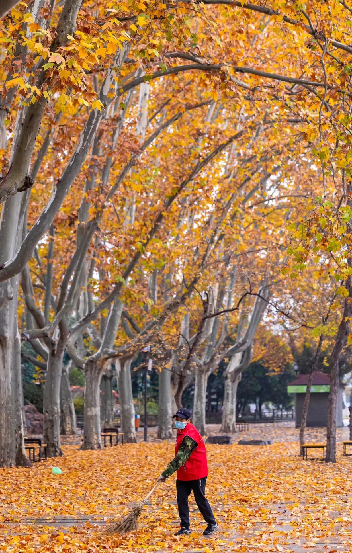 郑州最新开放的公园,郑州适合游玩的公园排名榜最新