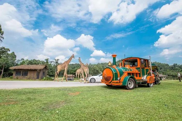 广州儿童节去哪里玩最好玩,广州周末小孩子最爱玩的地方