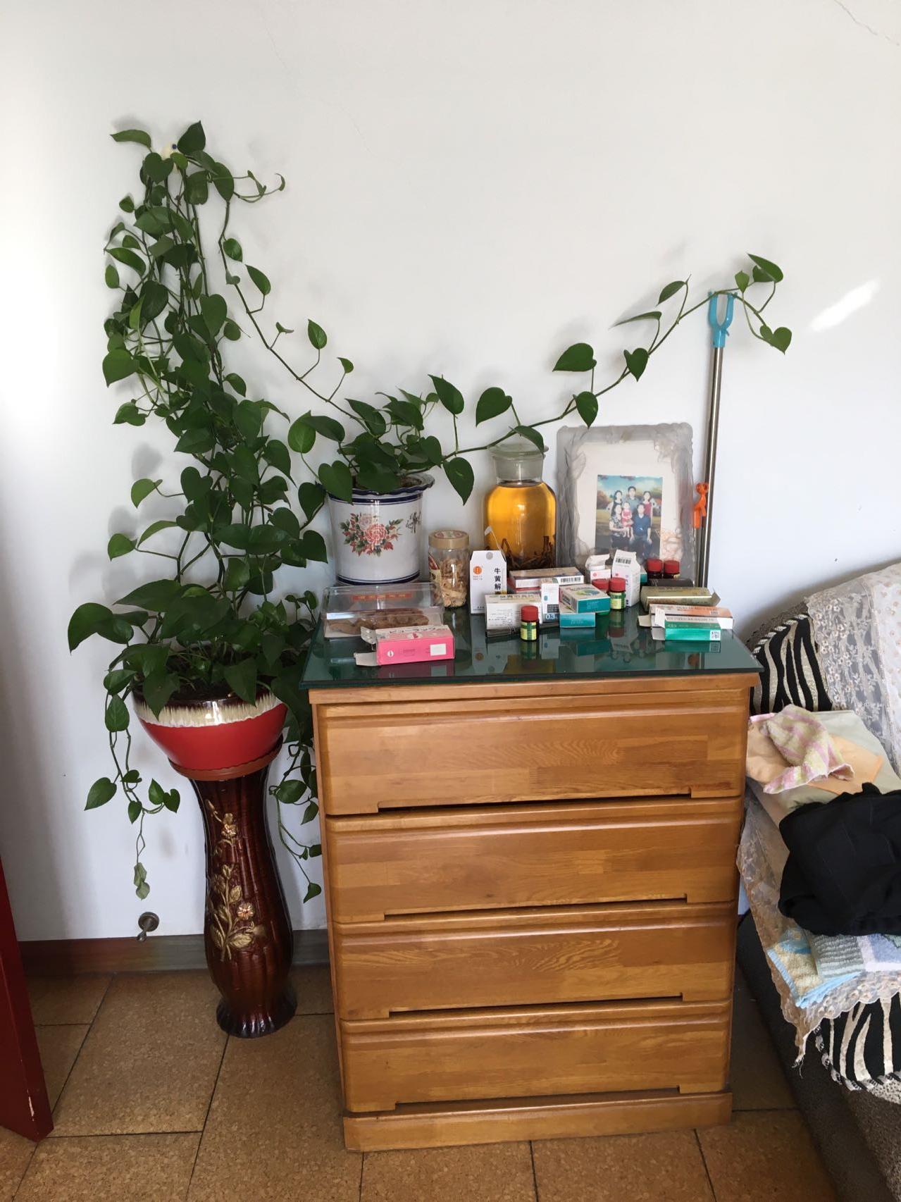 做＂颤、抖功＂“消疲”健身的方法、要点和益处（精彩回放）