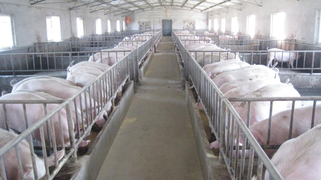 永寿：做好“土”文章打好“特”品牌