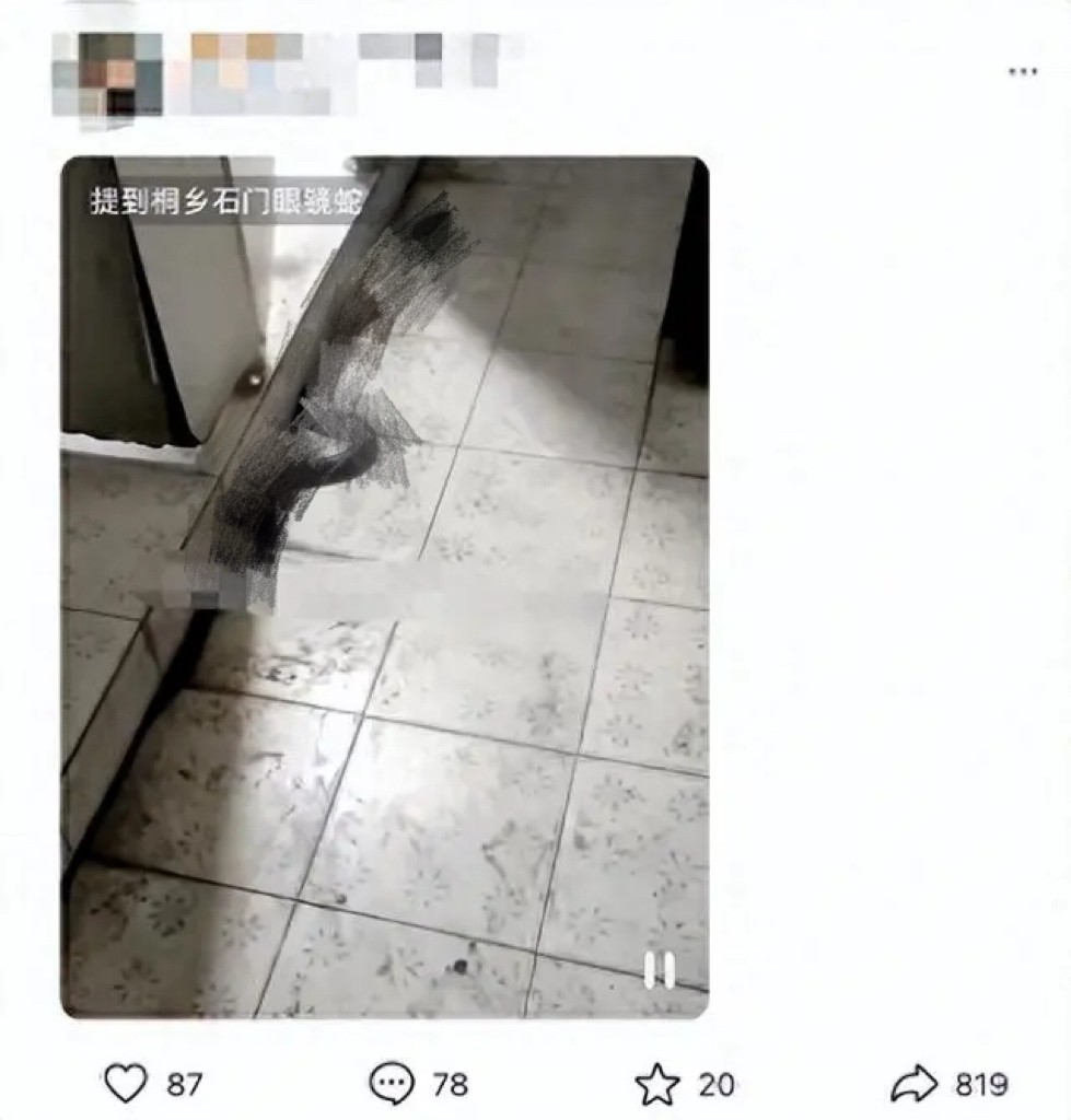 私自养野生蛇,农户私放1000条眼镜蛇