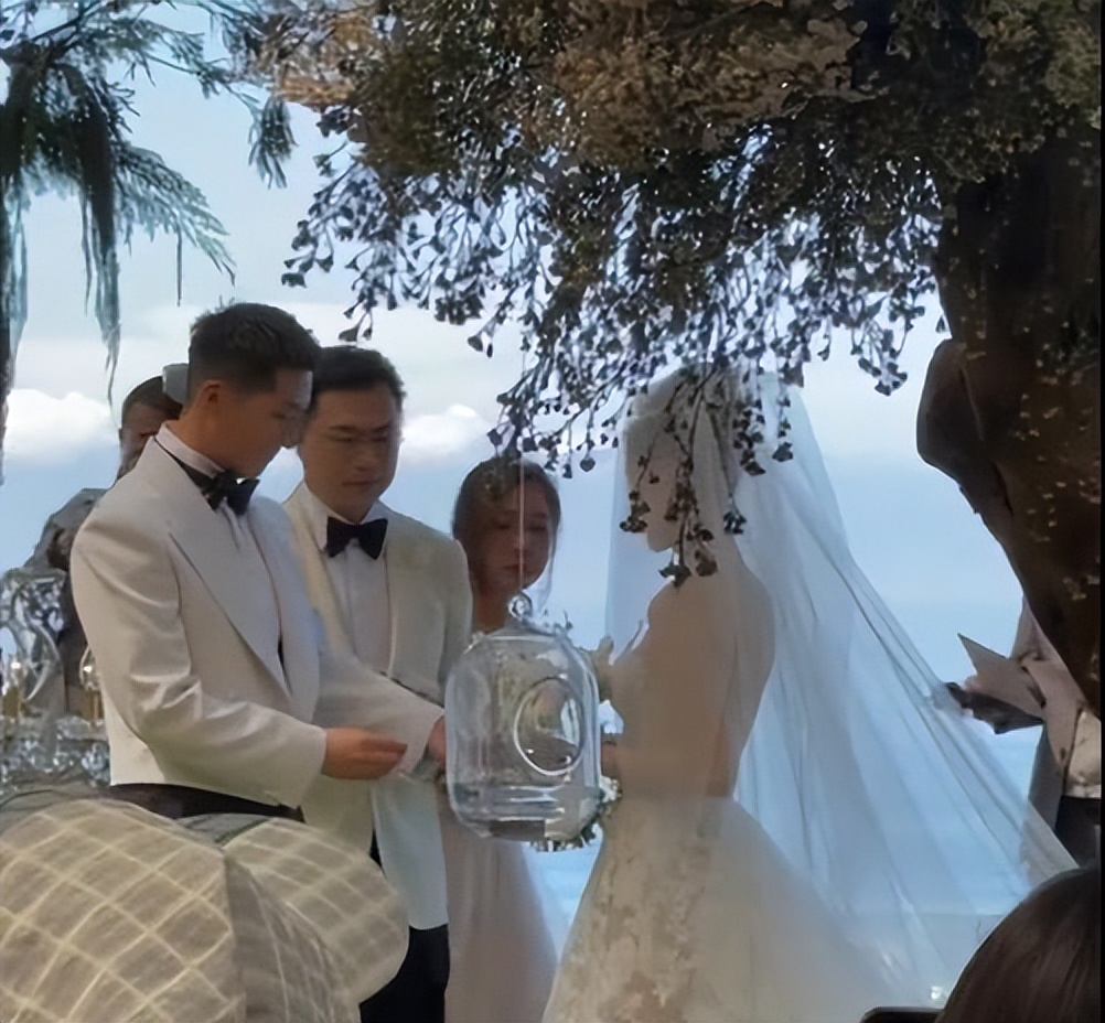 何超莲称婚礼是窦骁包办,何超莲窦骁婚礼获祝福