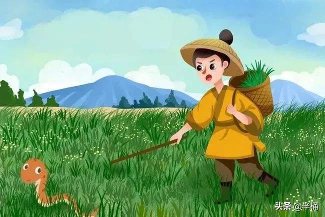 蛇出没的地方怎样预防,野外遇到蛇注意事项